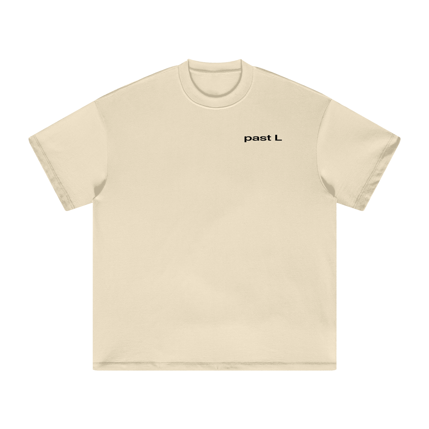 past L "Reminder" T-Shirt (Light Colorways)